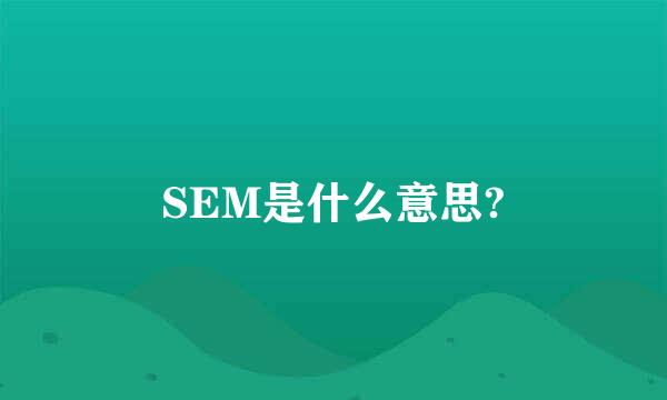 SEM是什么意思?