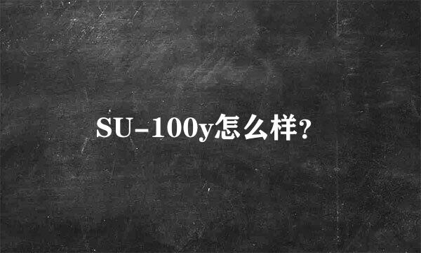 SU-100y怎么样？