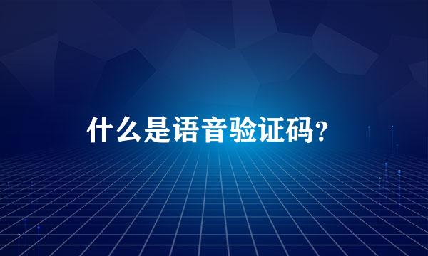 什么是语音验证码？