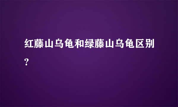 红藤山乌龟和绿藤山乌龟区别？