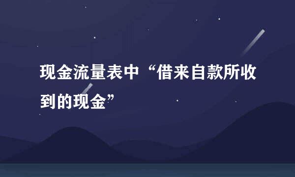 现金流量表中“借来自款所收到的现金”