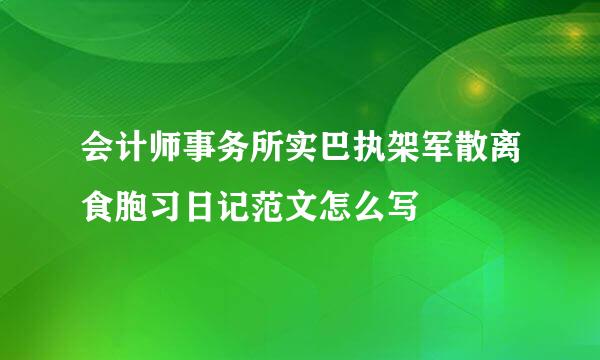 会计师事务所实巴执架军散离食胞习日记范文怎么写