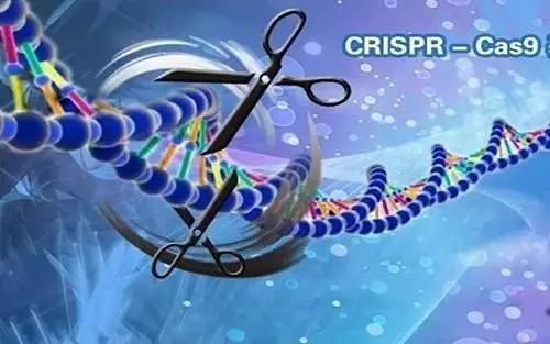 crispr基因编辑技术的基本原理是什么？