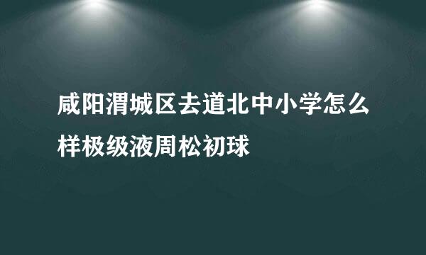 咸阳渭城区去道北中小学怎么样极级液周松初球