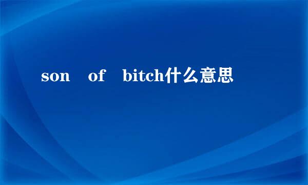 son of bitch什么意思