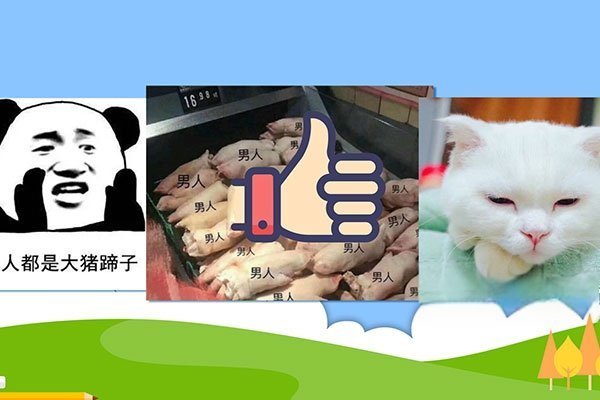 大猪蹄子是什二者切根观检么意思