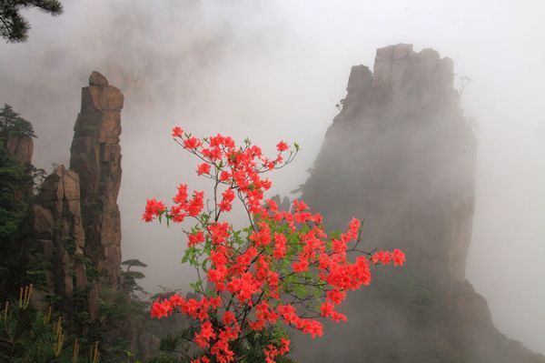 黄山旅游最佳路线吗是什么?