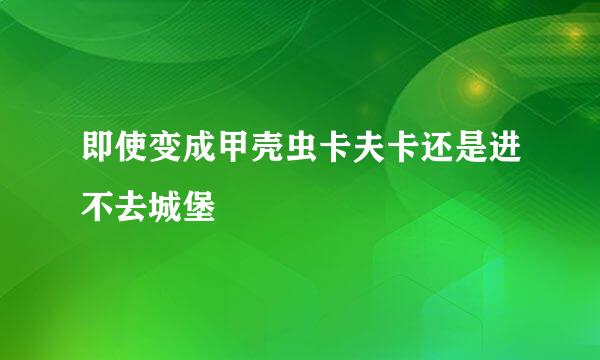 即使变成甲壳虫卡夫卡还是进不去城堡