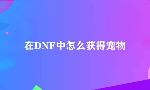 在DNF中怎么获得宠物