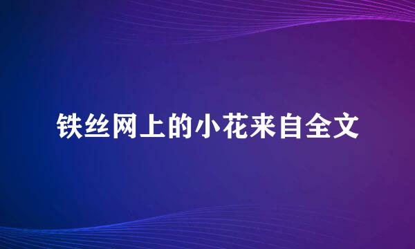 铁丝网上的小花来自全文