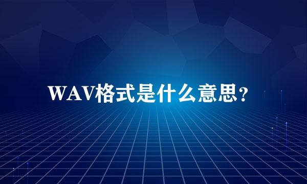 WAV格式是什么意思？