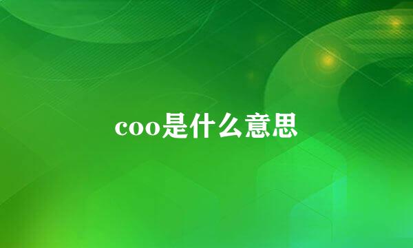 coo是什么意思