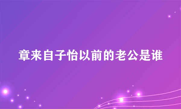 章来自子怡以前的老公是谁