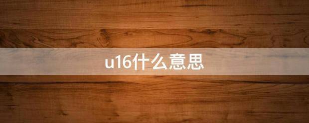 u16什么意思