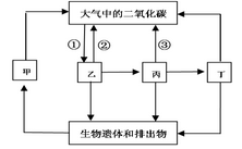 生物中考试题