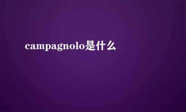 campagnolo是什么