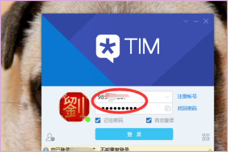 QQTM模式是怎么一回事？怎样设置呢？