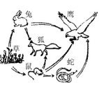 生物中考试题