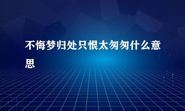 不悔梦归处只恨太匆匆什么意思