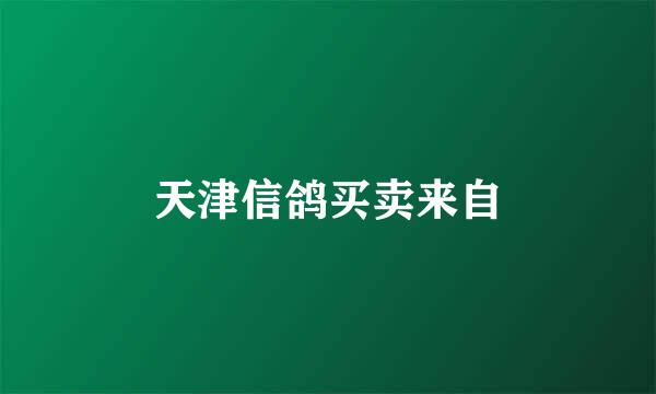 天津信鸽买卖来自