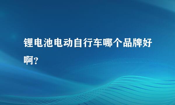 锂电池电动自行车哪个品牌好啊？