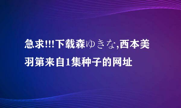 急求!!!下载森ゆきな,西本美羽第来自1集种子的网址