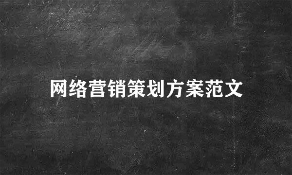 网络营销策划方案范文