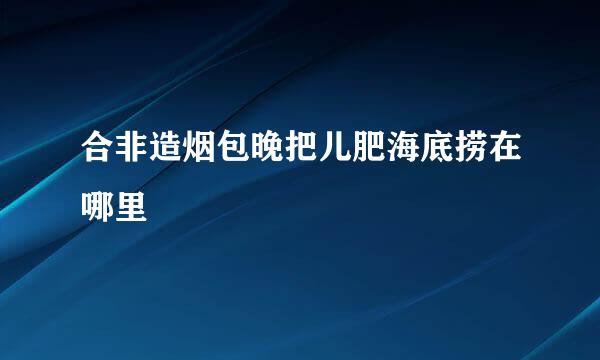 合非造烟包晚把儿肥海底捞在哪里