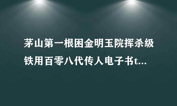 茅山第一根困金明玉院挥杀级铁用百零八代传人电子书txt全集下载