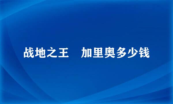 战地之王 加里奥多少钱