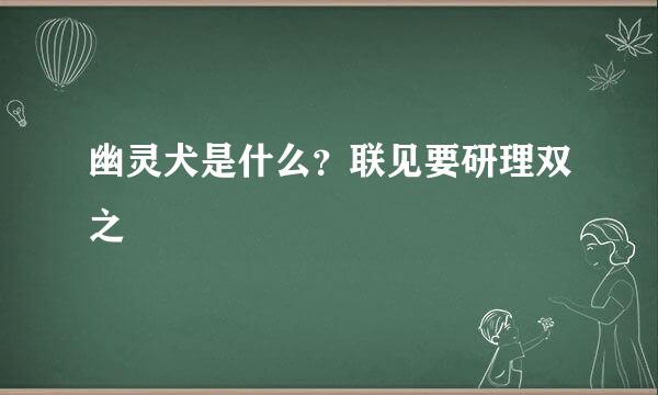 幽灵犬是什么？联见要研理双之