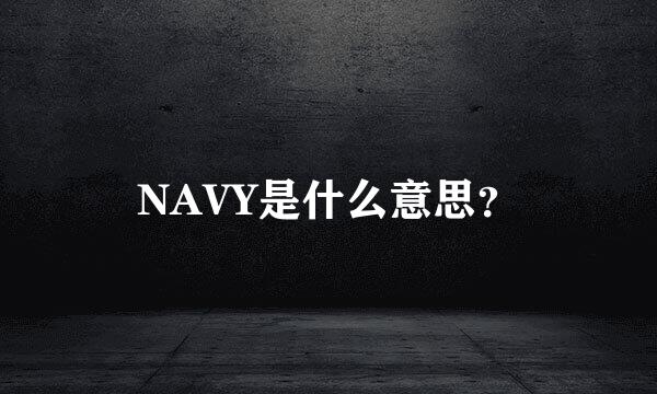 NAVY是什么意思？