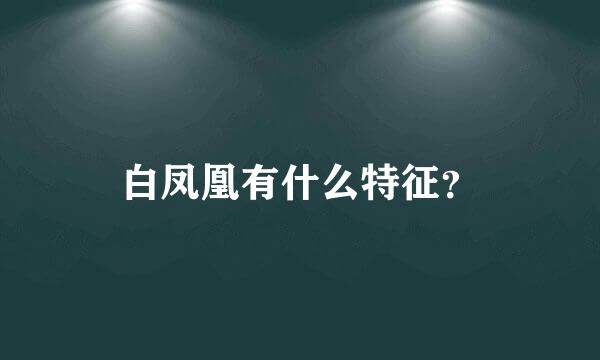 白凤凰有什么特征？