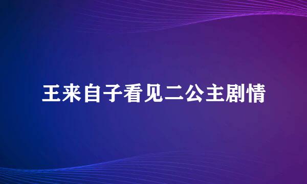 王来自子看见二公主剧情