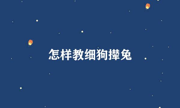 怎样教细狗撵兔