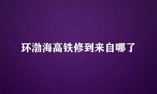 环渤海高铁修到来自哪了