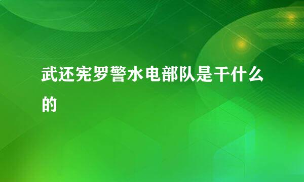 武还宪罗警水电部队是干什么的