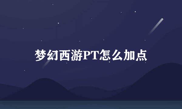 梦幻西游PT怎么加点