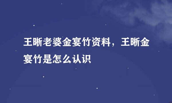 王晰老婆金宴竹资料，王晰金宴竹是怎么认识