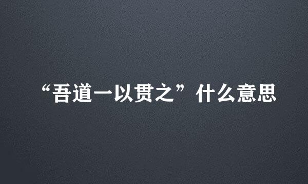 “吾道一以贯之”什么意思