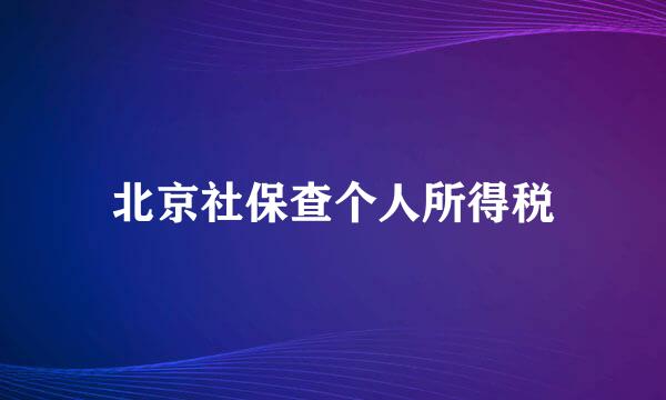 北京社保查个人所得税