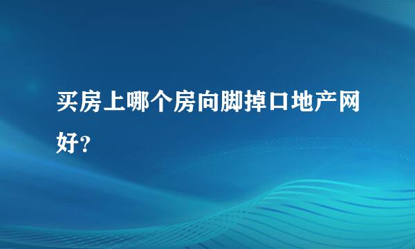 买房上哪个房向脚掉口地产网好？