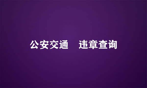 公安交通 违章查询