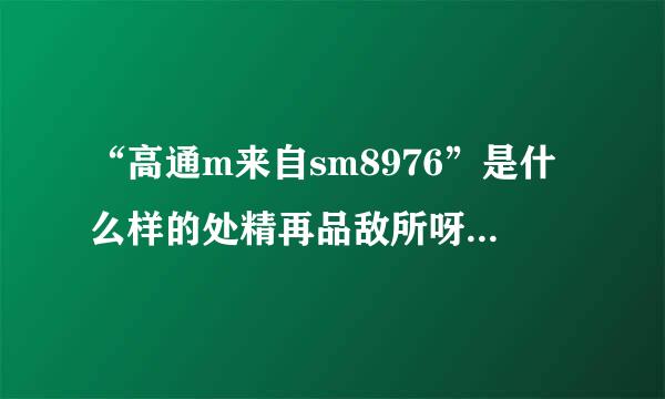 “高通m来自sm8976”是什么样的处精再品敌所呀让理器？