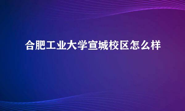 合肥工业大学宣城校区怎么样