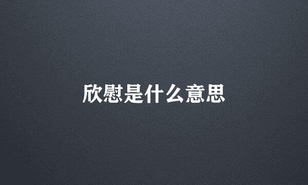 欣慰是什么意思