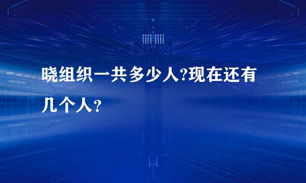 晓组织一共多少人?现在还有几个人？