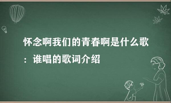 怀念啊我们的青春啊是什么歌：谁唱的歌词介绍