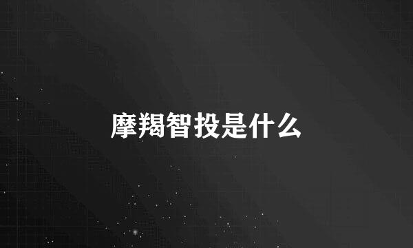 摩羯智投是什么