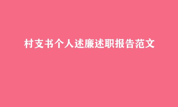 村支书个人述廉述职报告范文